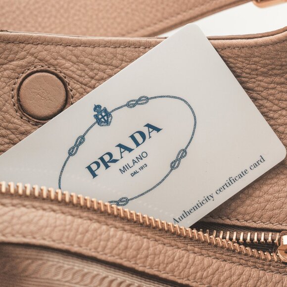 Prada Cammeo Vitello Daino Striped-Crossbody-Strap Hobo - Picture 13 of 13